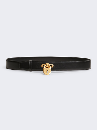 Padlock belt